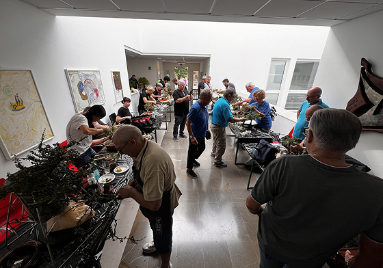 LAB Bonsai in Primo Piano 2026