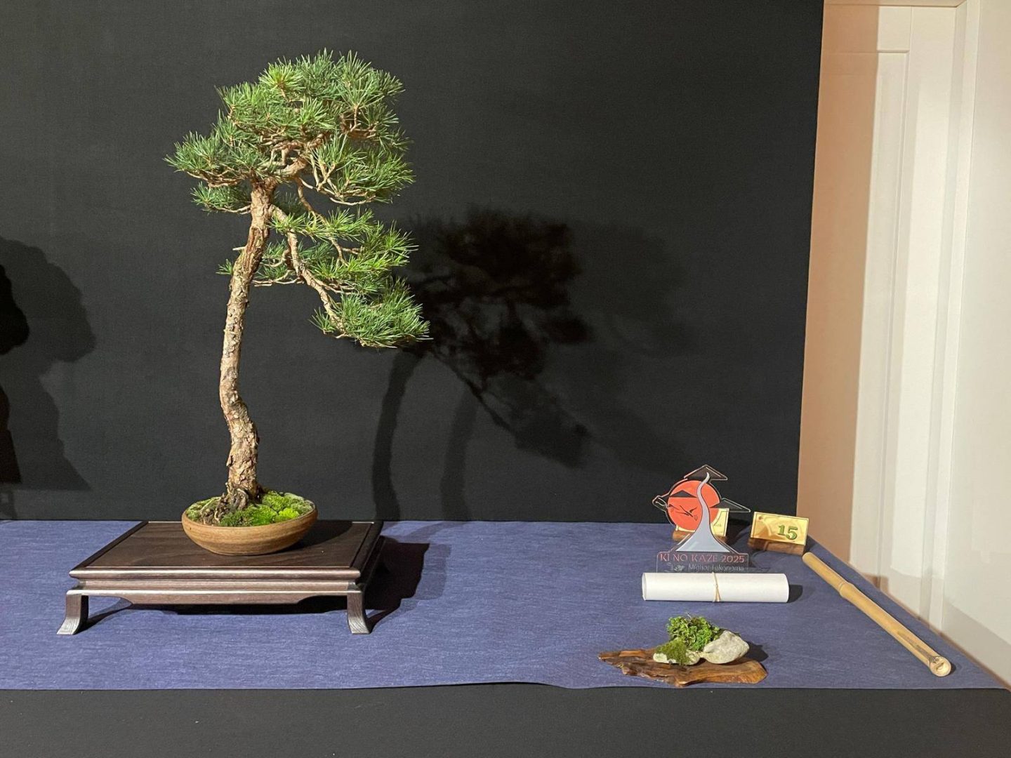 Mostra Ovest Vicentino premio LAB