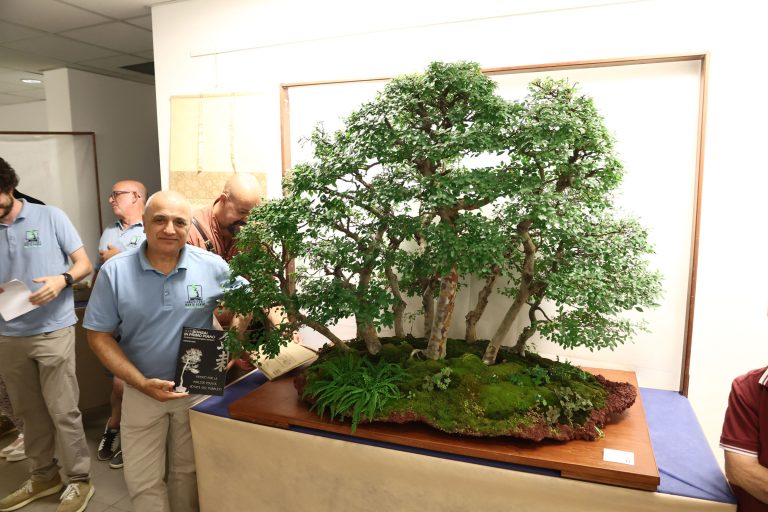Laboratorio d’Arte Bonsai Staranzano Cerimonia di premiazione della mostra Bonsai in Primo Piano a Staranzano