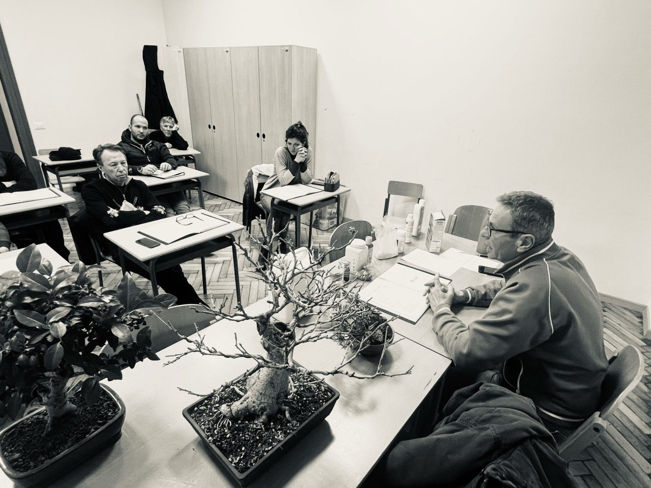 Laboratorio d’Arte Bonsai Staranzano Laboratorio d'Arte Bonsai Staranzano – Lezione Corso